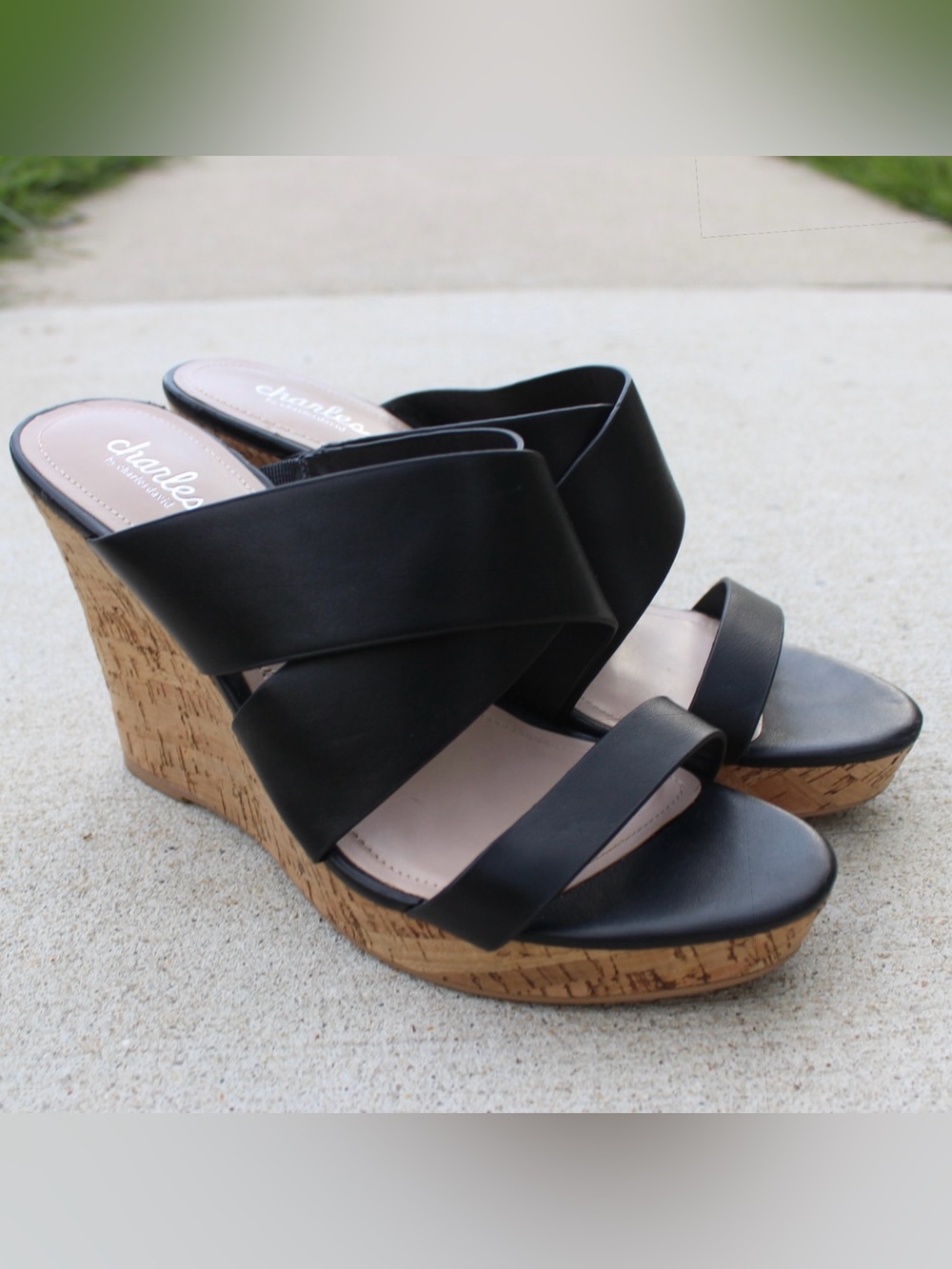 Charles by Charles David Leslie Wedge Sandals Sz 10M